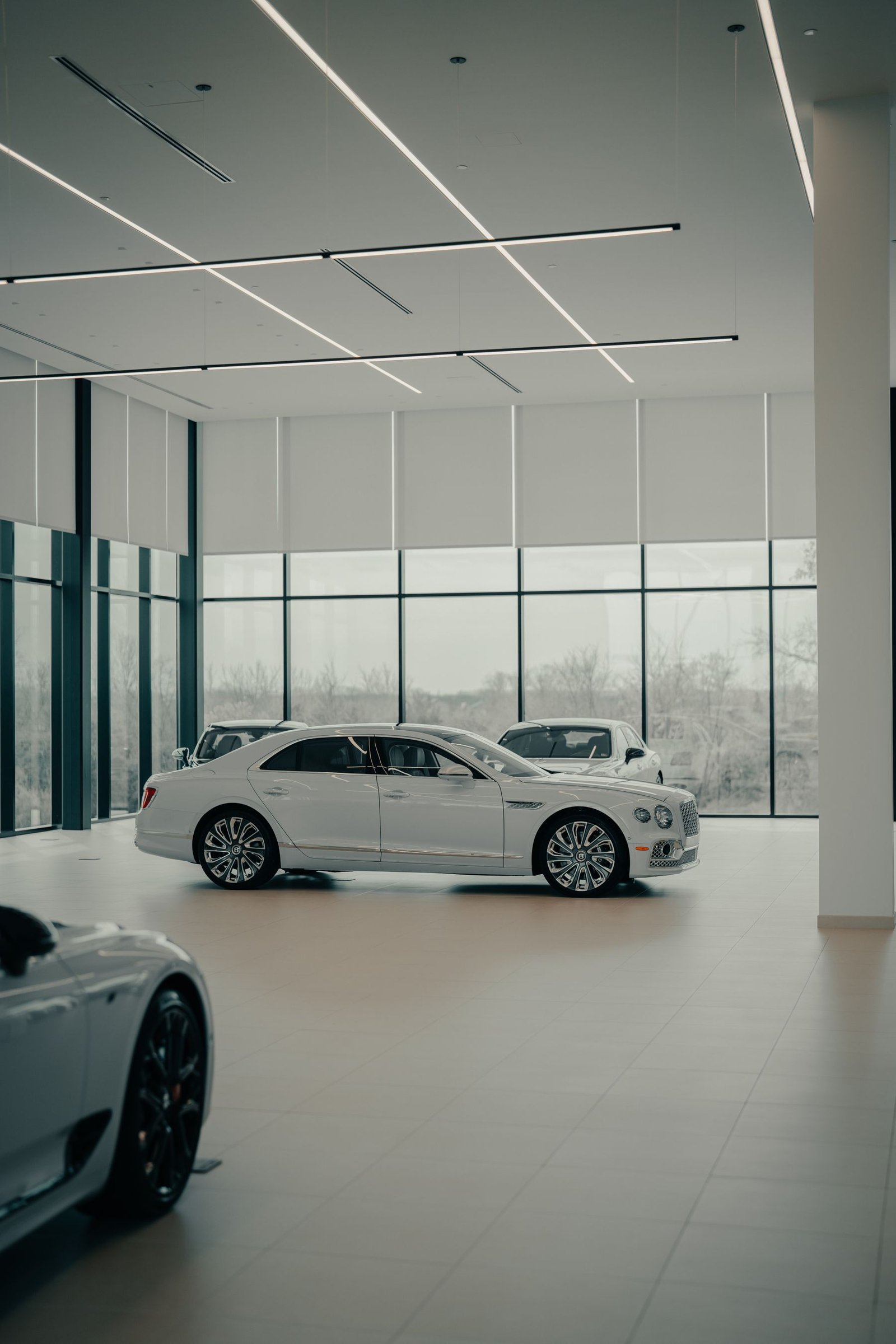 Modern, light-filled vehicle dealership showroom